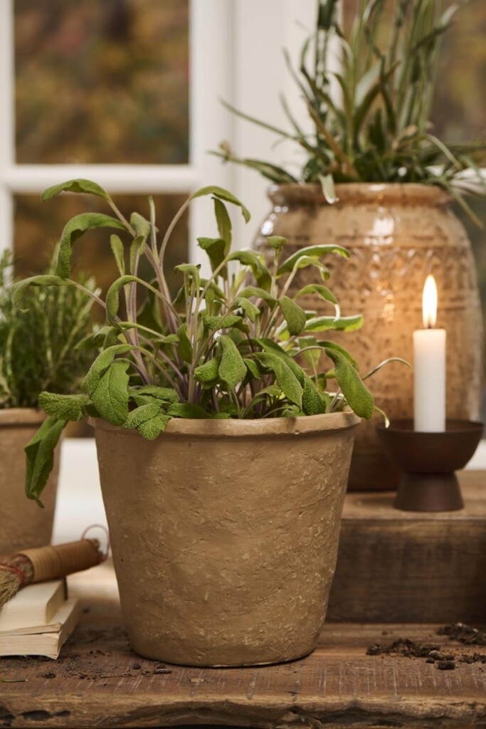 IB Laursen Topf konisch Saga | Skandinavisch