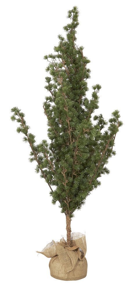 Zeder Kunsttanne mit Jutetopf