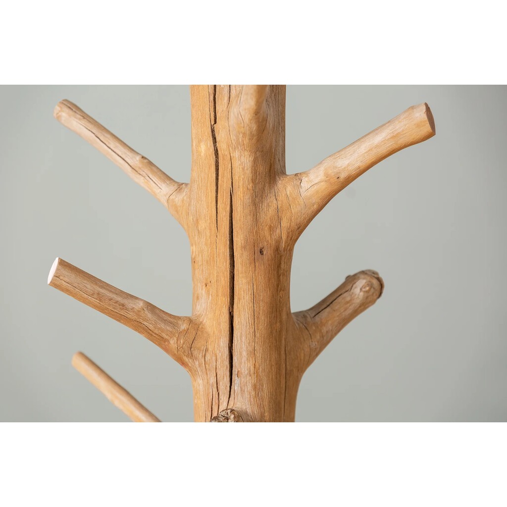 Garderobenständer Tree Mangostanholz