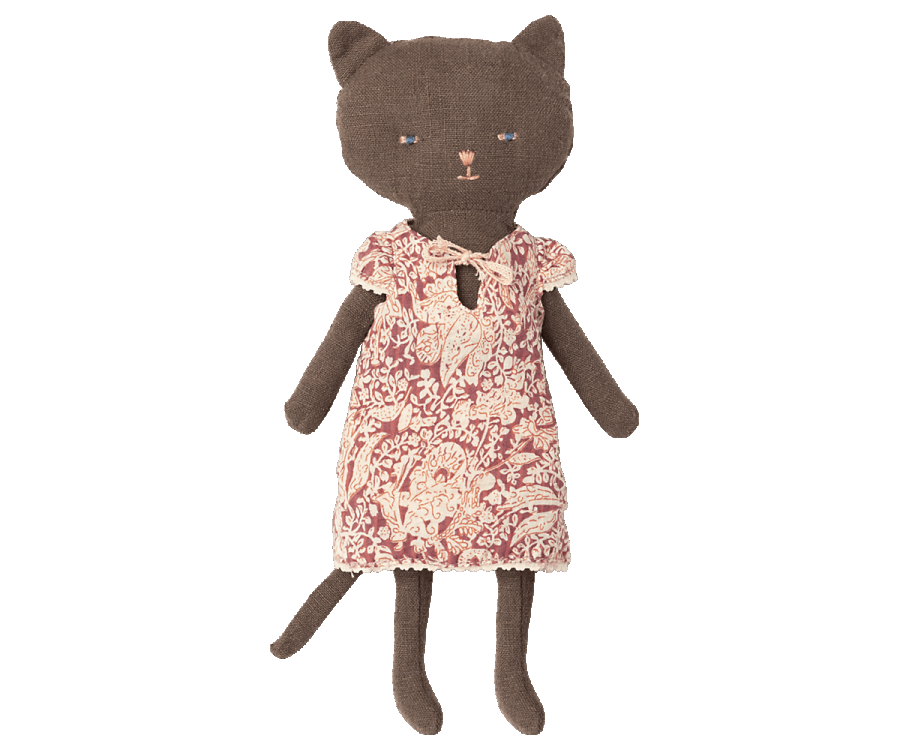 Chatons Katze mit Kleidung