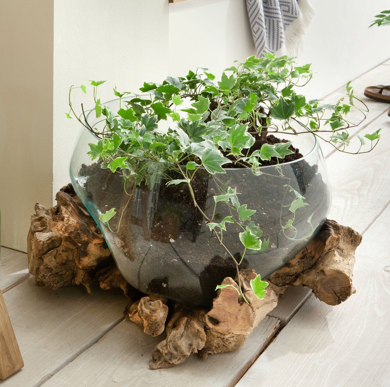 skandeko Deko Wurzel mit Glas Vase flach Preview Image