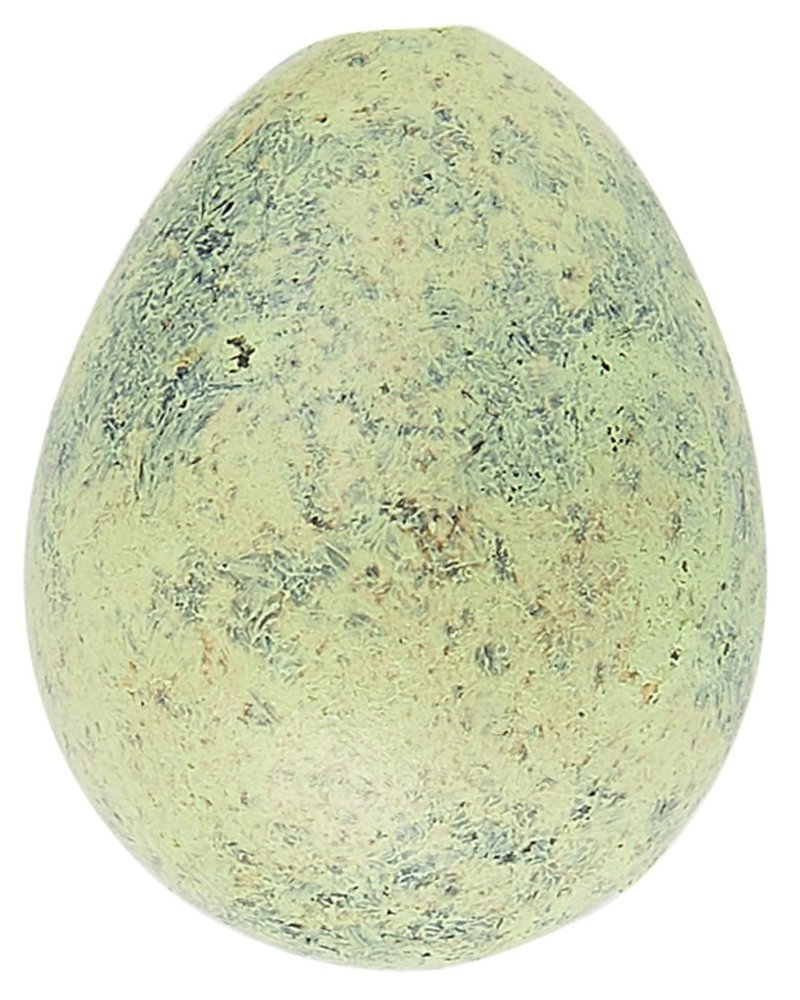 Wachtelei zur Deko 60er Pack