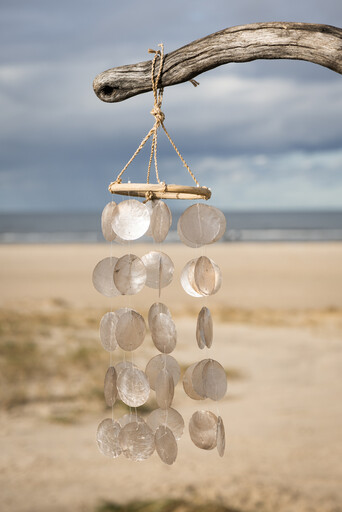 Impressionen zu IB Laursen Windspiel mit Strandmuscheln, Bild 3