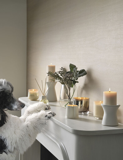 Impressionen zu Illume Duftkerze XL Statement Glas, Bild 4