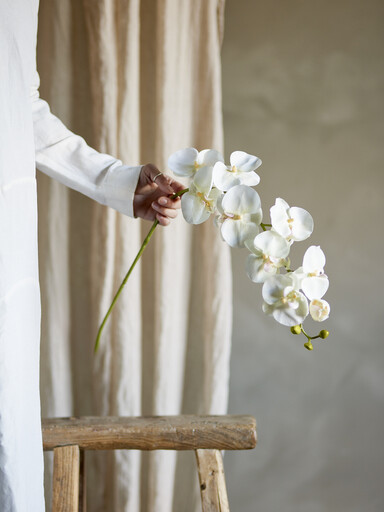 Impressionen zu Bloomingville Orchideen Stiel, Weiß, Künstliche Blume, Bild 1