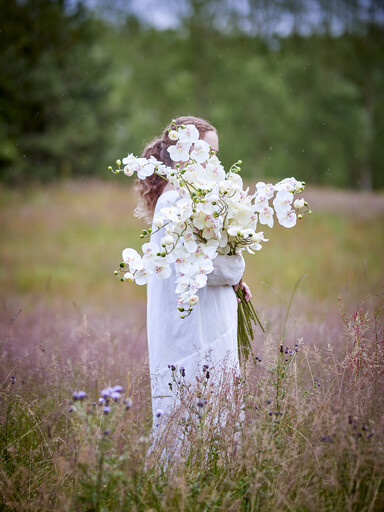 Impressionen zu Bloomingville Orchideen Stiel, Weiß, Künstliche Blume, Bild 3