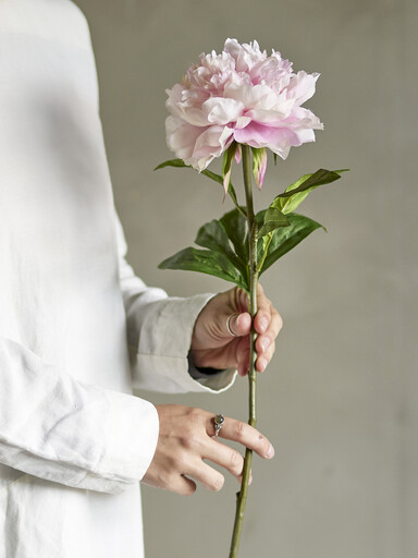 Impressionen zu Bloomingville Peony Stiel, Rose, Künstliche Blume, Bild 1