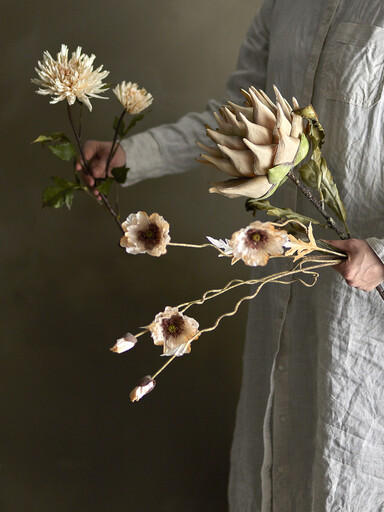 Impressionen zu Bloomingville Protea Stiel, Künstliche Blume, Bild 1