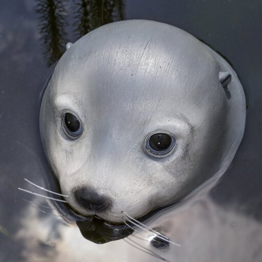 Impressionen zu Boltze Schwimmfigur Poggy Seehund, Bild 2
