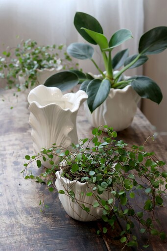 Impressionen zu Chic Antique Fayence Blumentopf mit Blätter, Bild 2