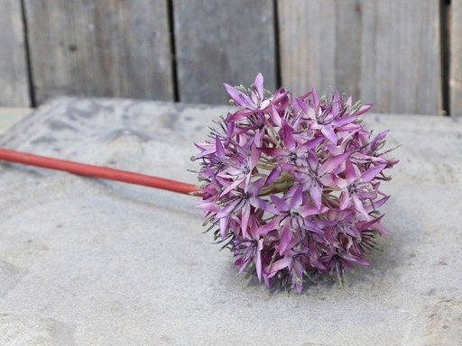 Impressionen zu Chic Antique Fleur Allium, Bild 2