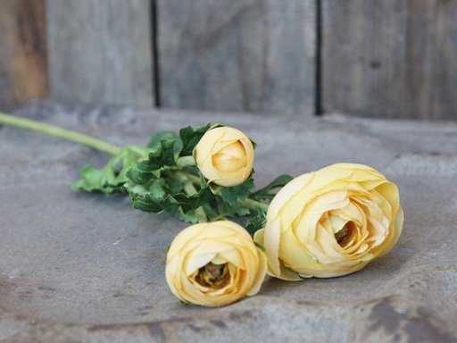 Impressionen zu Chic Antique Fleur Butterblume gelb, Bild 1