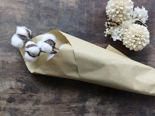 Impressionen zu Chic Antique Fleur getrockneter Baumwollzweig, Bild 1