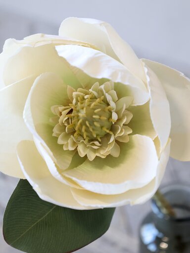 Impressionen zu Chic Antique Fleur Magnolia, Bild 3