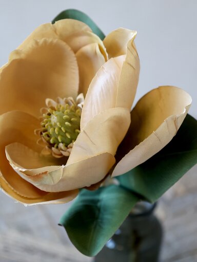 Impressionen zu Chic Antique Fleur Magnolia, Bild 5