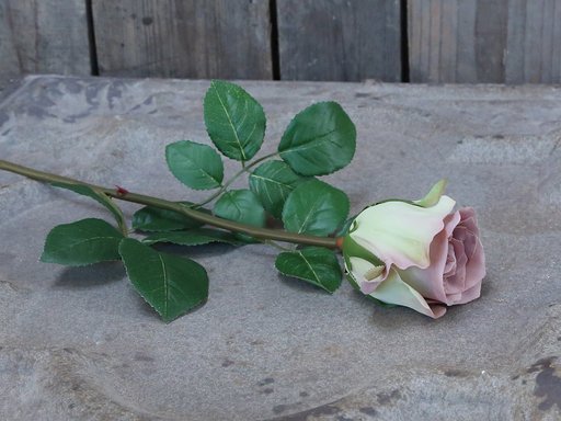 Impressionen zu Chic Antique Fleur Rose lavendel, Bild 1