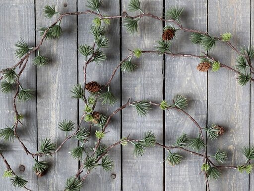 Impressionen zu Chic Antique Fleur Zedernbaumranke mit Zapfen, Bild 1