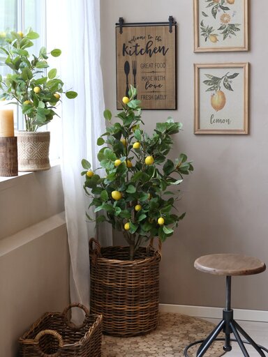 Impressionen zu Chic Antique Fleur Zitronenbaum, Bild 4