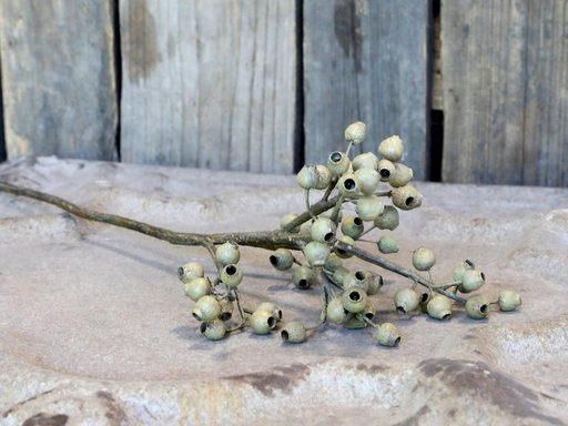 Impressionen zu Chic Antique Fleur Zweig mit Samenkapsel grün, Bild 1