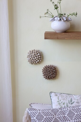 Impressionen zu Chic Antique Koralle mit Muscheln für Deko, Bild 1