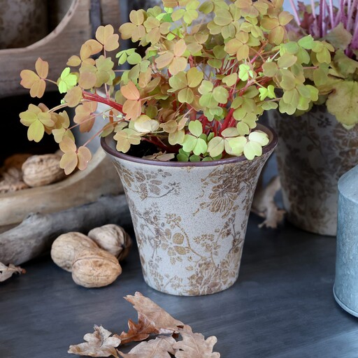 Impressionen zu Chic Antique Melun Übertopf Latte, Bild 2