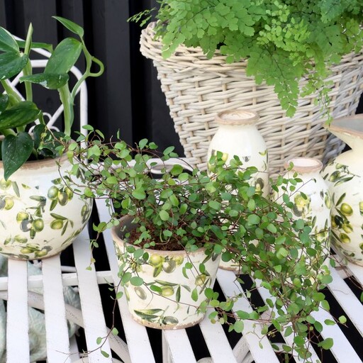 Impressionen zu Chic Antique Übertopf Olive mit Olivenmuster, Bild 3