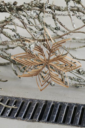 Impressionen zu House Doctor Ornament Ouilling, Bild 1