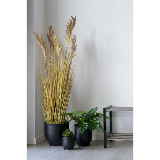 Impressionen zu House Nordic Künstliches Sorghum Gras, Bild 1