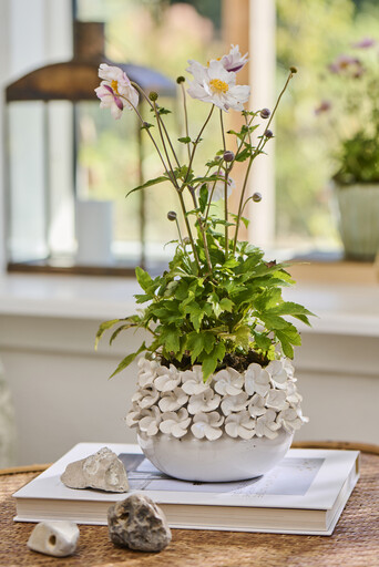 Impressionen zu IB Laursen Blumentopf mit Schmuck Hortensia, Bild 3