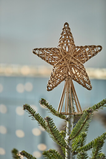 Impressionen zu IB Laursen Christbaumstern Cane, Bild 5