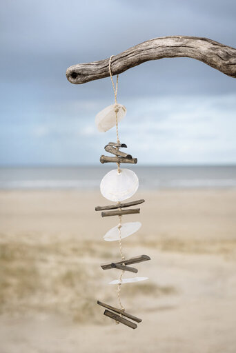 Impressionen zu IB Laursen Deko Aufhänger mit Strandmuscheln und Holzstäbchen, Bild 1