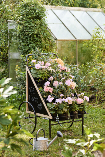 Impressionen zu IB Laursen Displaywagen, Blumenwagen auf Rädern, Bild 2