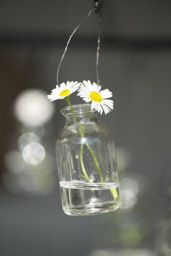 Impressionen zu IB Laursen Flasche mini für Blumen zum Aufhängen, Bild 2