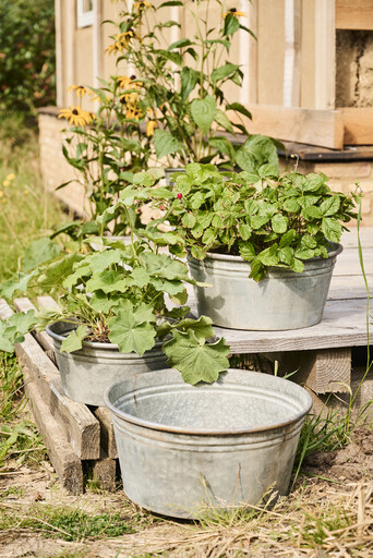 Impressionen zu IB Laursen Topfsatz 3er konisch Urban Garden, Bild 2