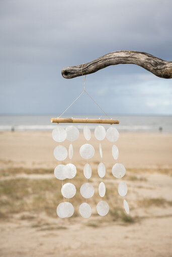 Impressionen zu IB Laursen Windspiel mit Strandmuscheln und Seegras, Bild 1